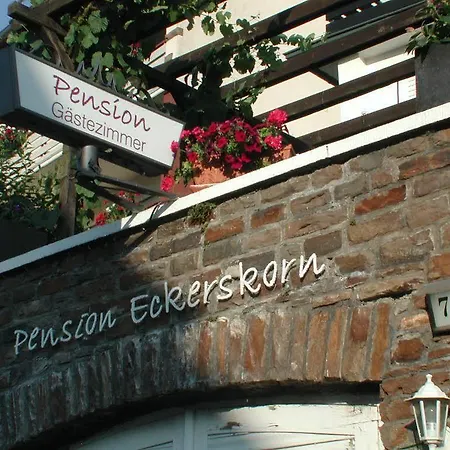 Haus Uebernachtenswert Mosel Daire